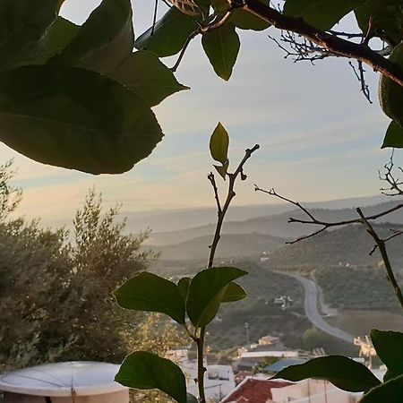 Mirador Del Olivar Olvera Ngoại thất bức ảnh