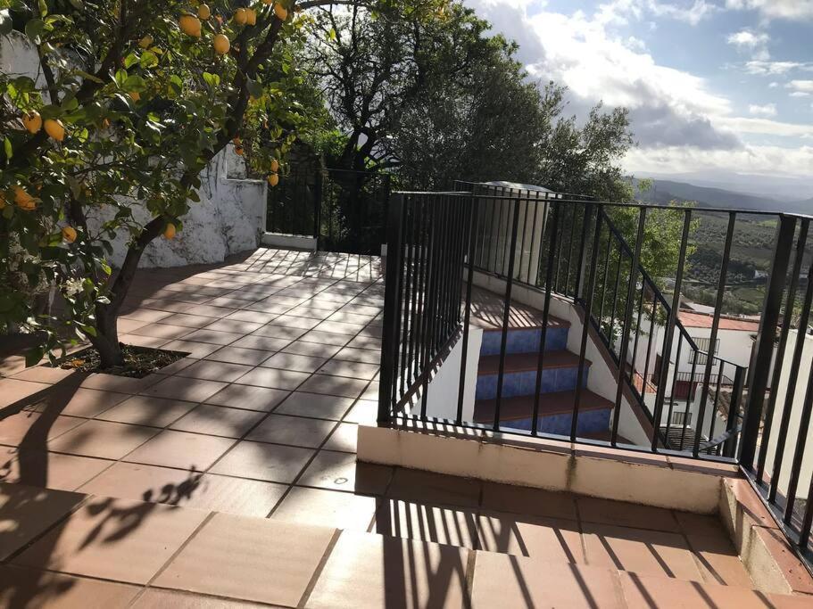 Mirador Del Olivar Olvera Ngoại thất bức ảnh