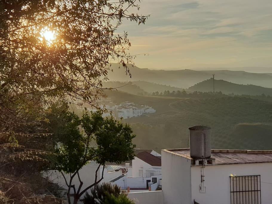 Mirador Del Olivar Olvera Ngoại thất bức ảnh